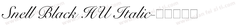 Snell Black HU Italic字体转换